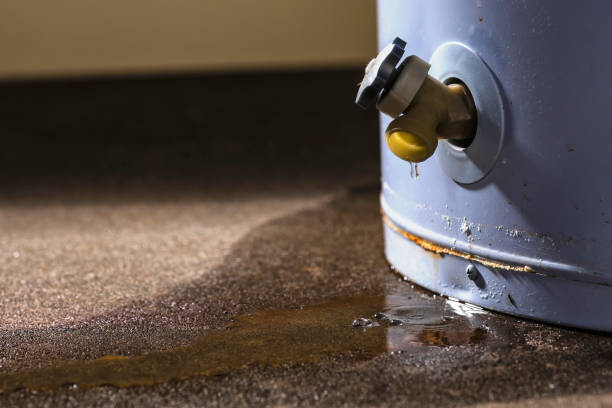 Best Water damage restoration near me  in Merrillville, IN