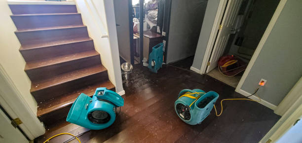 Best Professional water damage repair  in Merrillville, IN