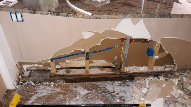 Best Carpet water damage restoration  in Merrillville, IN