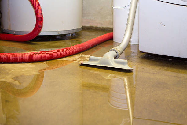 Best Water damage repair service  in Merrillville, IN