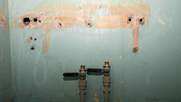 Best Water damage restoration cost  in Merrillville, IN