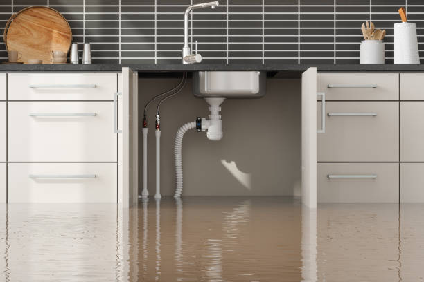 Best Flood restoration services  in Merrillville, IN