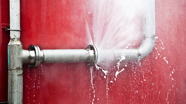 Best Water damage cleanup near me  in Merrillville, IN